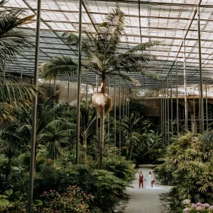 Espaços para Eventos 1 Organização de Eventos - Estufa Fria - Casa do Marquês