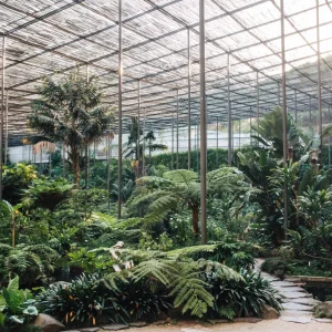 Estufa Fria - Espaço Exclusivo - Casa do Marquês