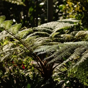 Estufa Fria - Espaço Exclusivo - Casa do Marquês