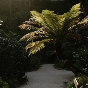 Estufa Fria - Espaço Exclusivo - Casa do Marquês