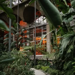 Estufa Fria - Espaço Exclusivo - Casa do Marquês