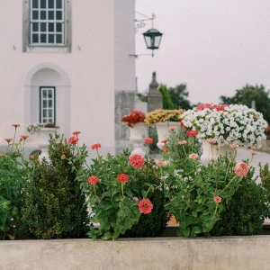Quinta da Conceição - Espaço Parceiro - Casa do Marquês