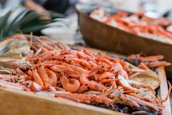 Buffet - Casa do Marquês