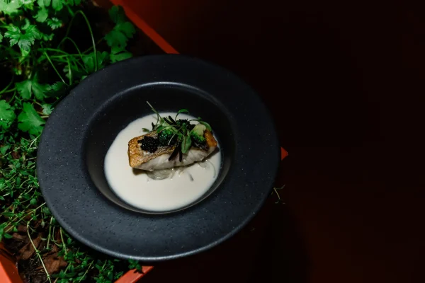 Servido - Casa do Marquês